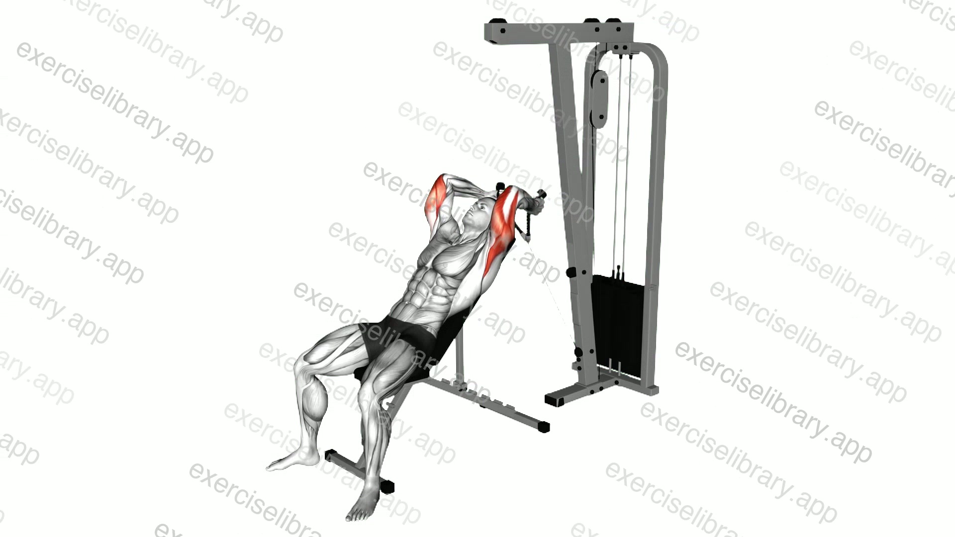 Cable Rope Incline Triceps Extension demonstration