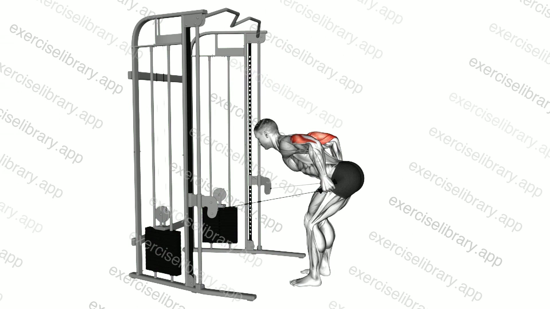Cable Two Arm Triceps Kickback demonstration