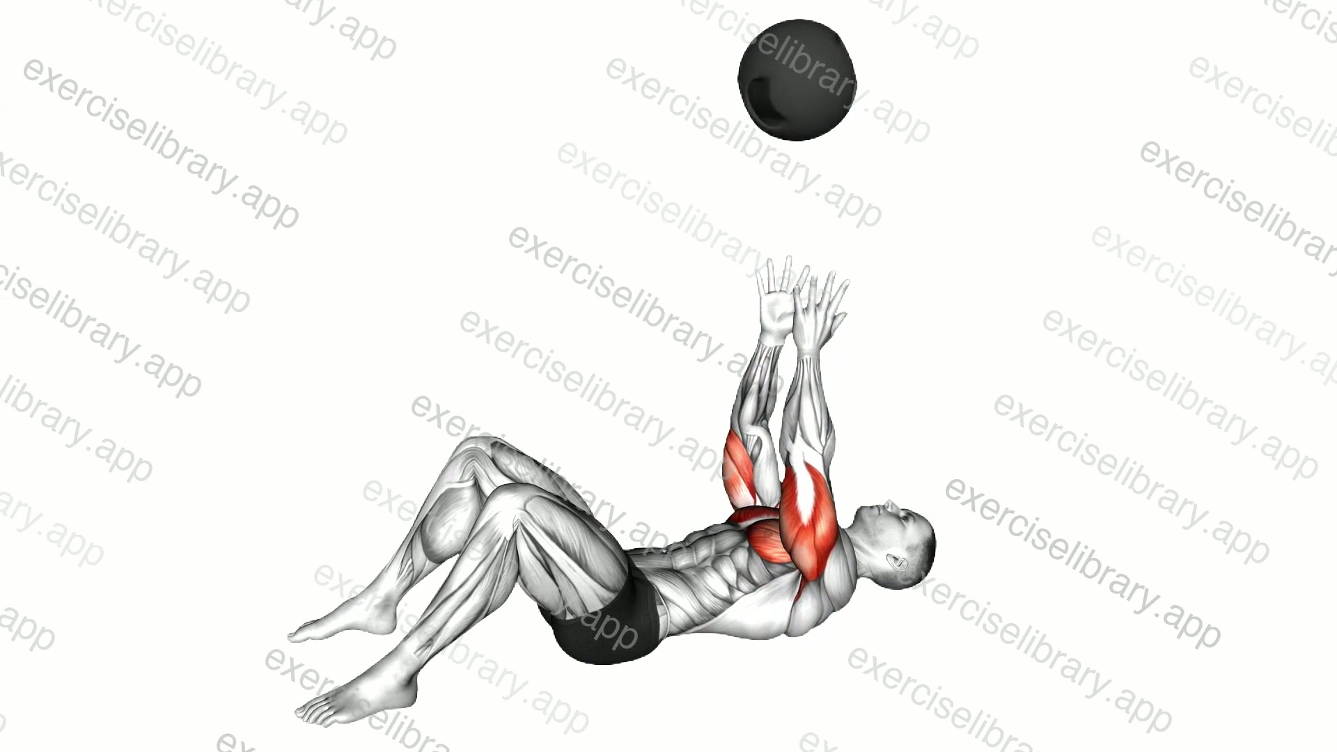 Medicine Ball Supine Chest Throw demonstration