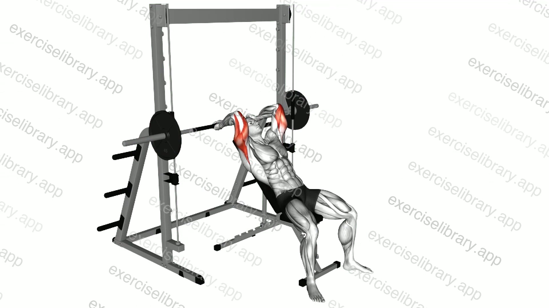 Smith Incline Triceps Extension demonstration