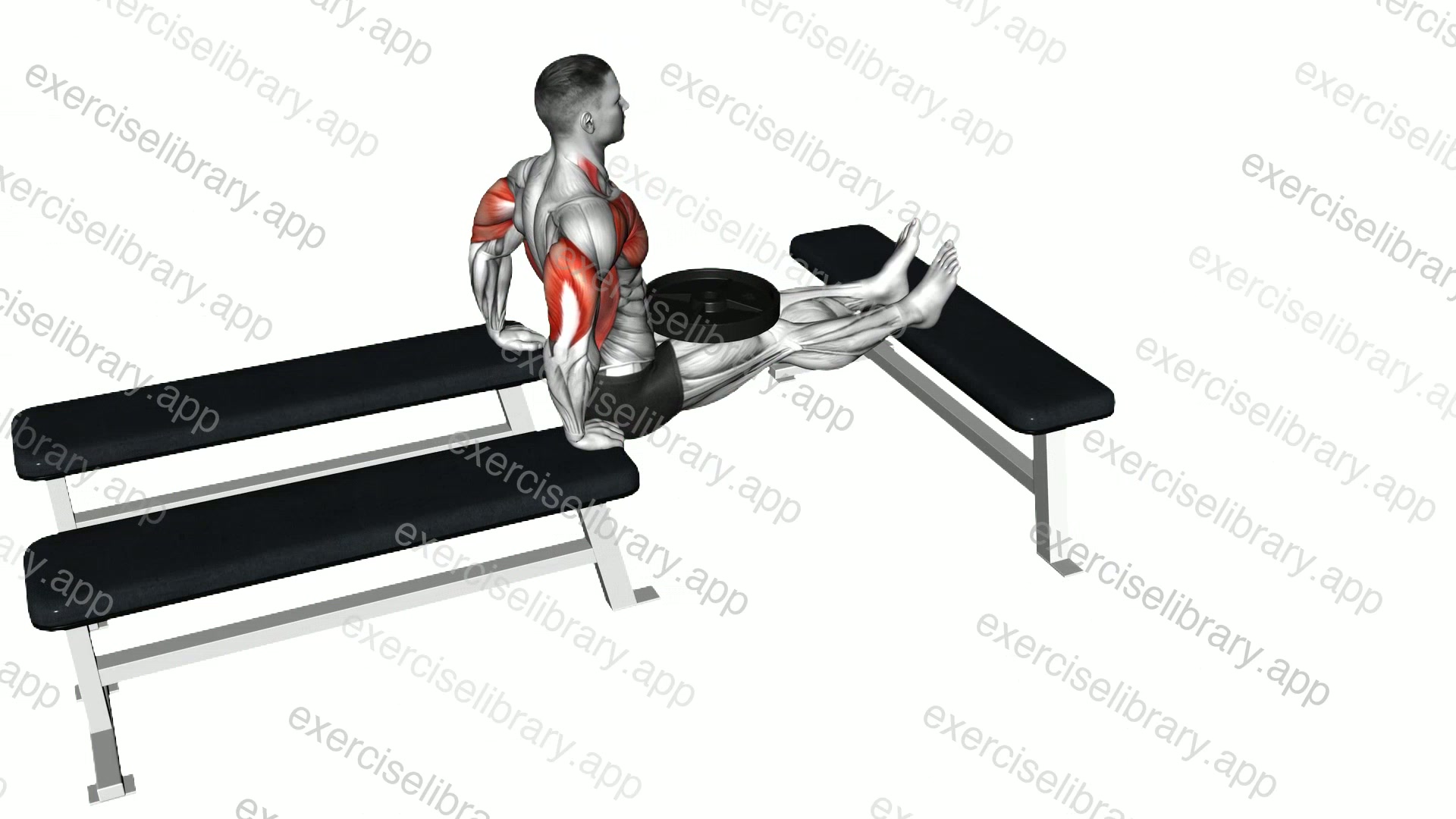 Weighted Three Bench Dip demonstration