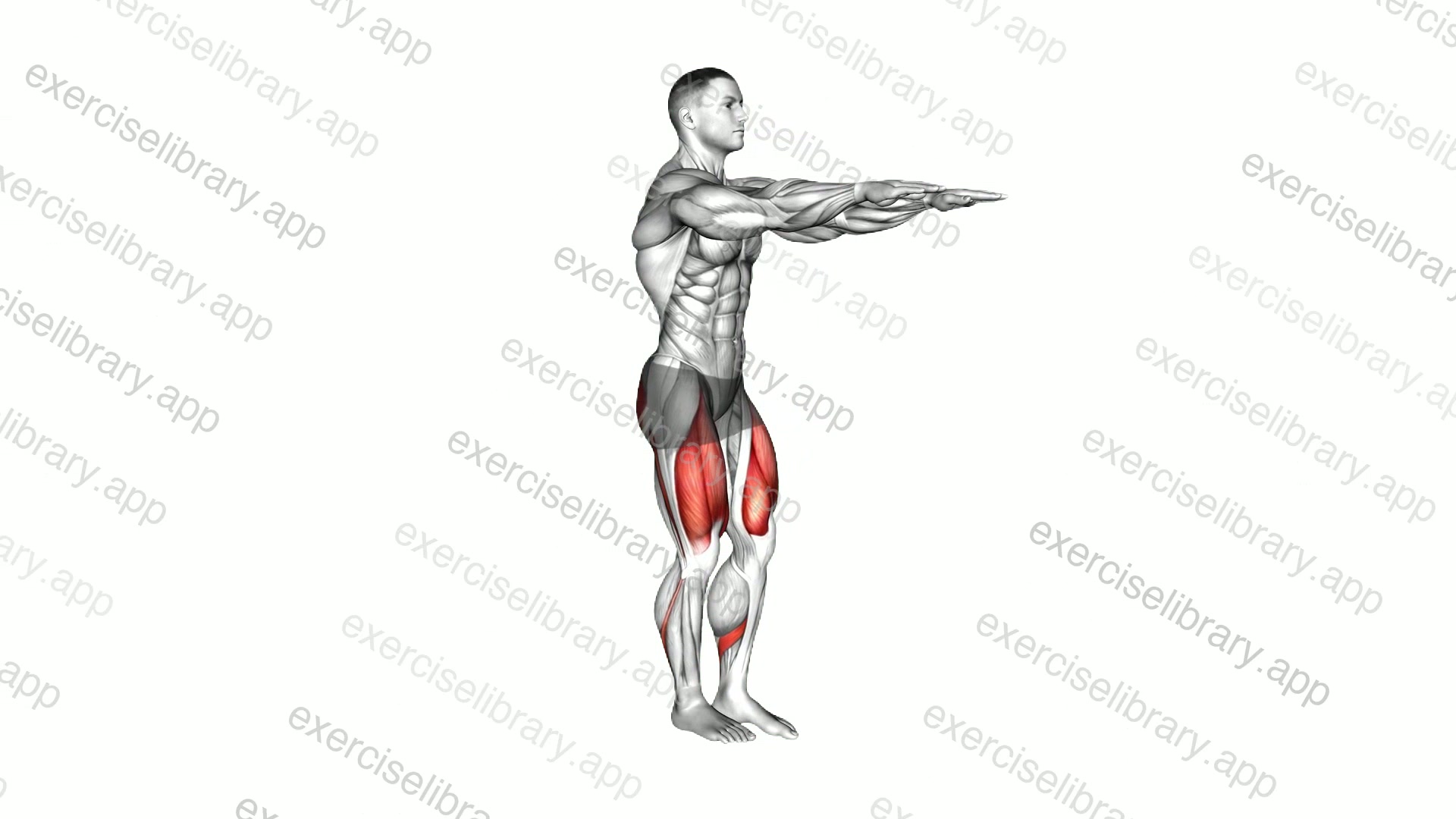 Single Leg Squat demonstration