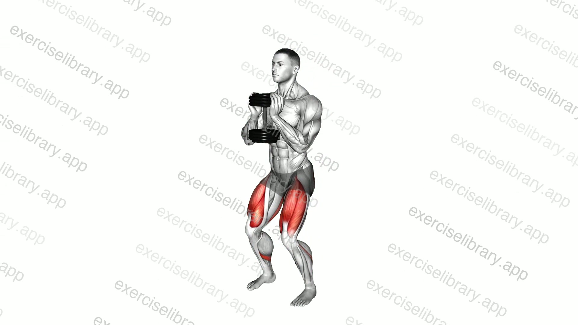 Dumbbell Goblet Squat demonstration