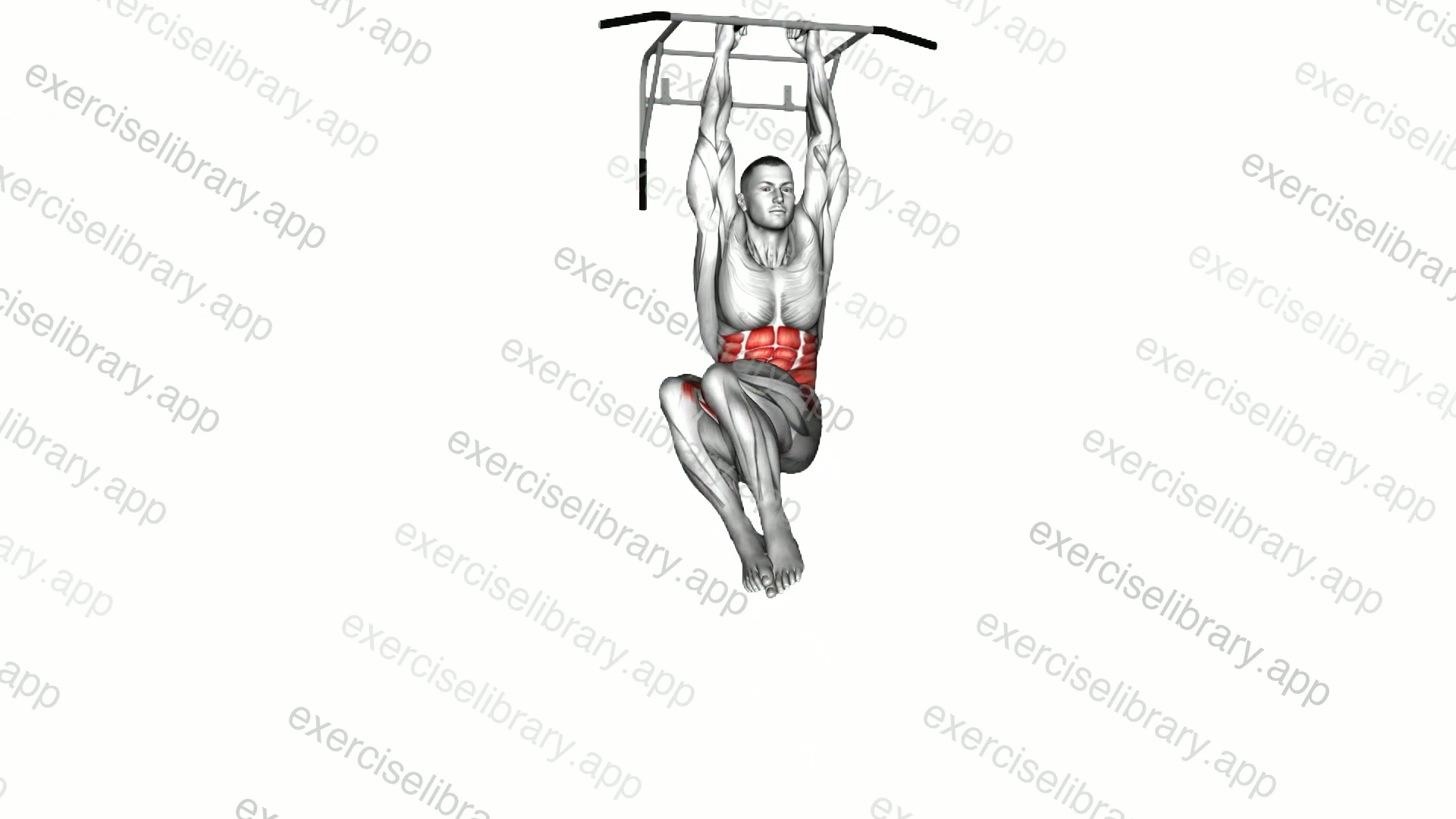 Hanging Oblique Knee Raise demonstration