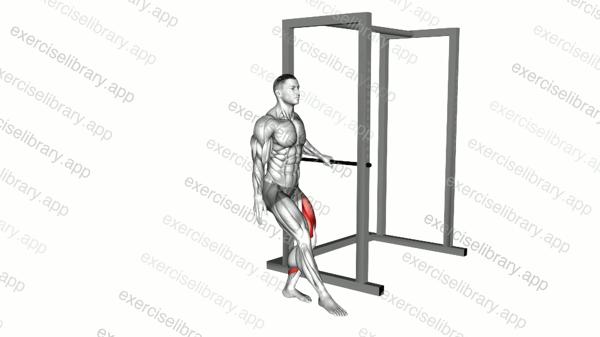 Single Leg Squat with Support demonstration