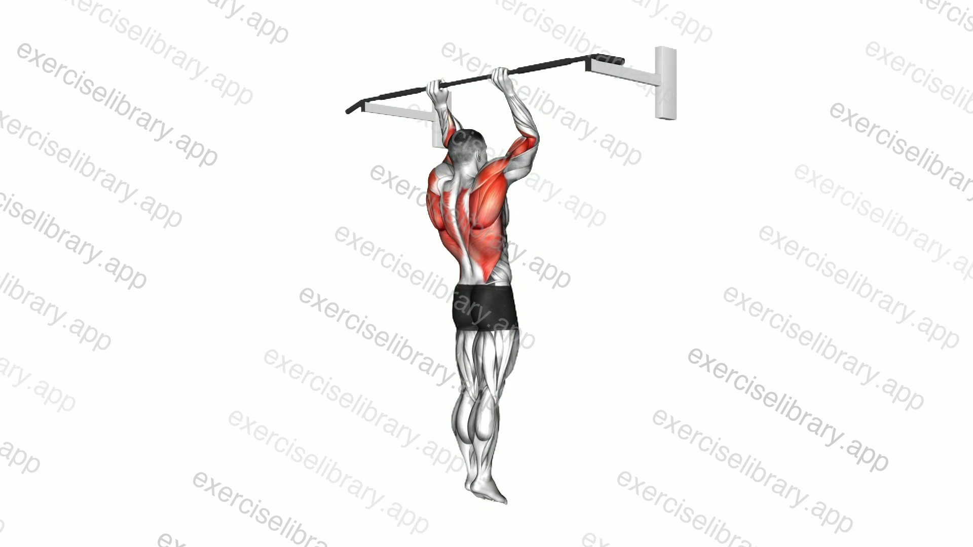 Shoulder Grip Pull-up demonstration