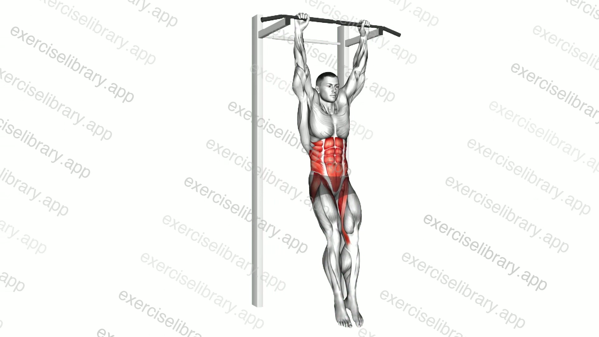 Hanging Leg Hip Raise demonstration
