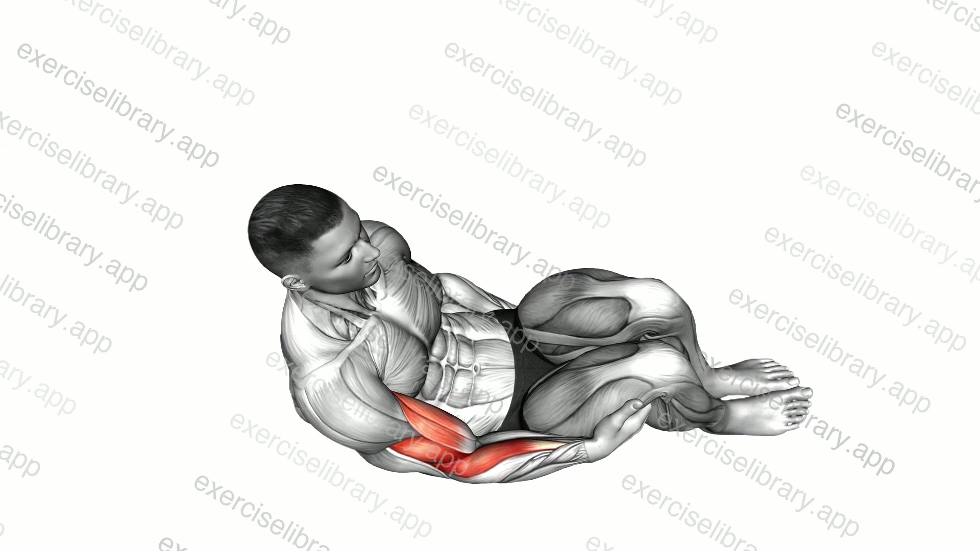 Bodyweight Side Lying Biceps Curl demonstration
