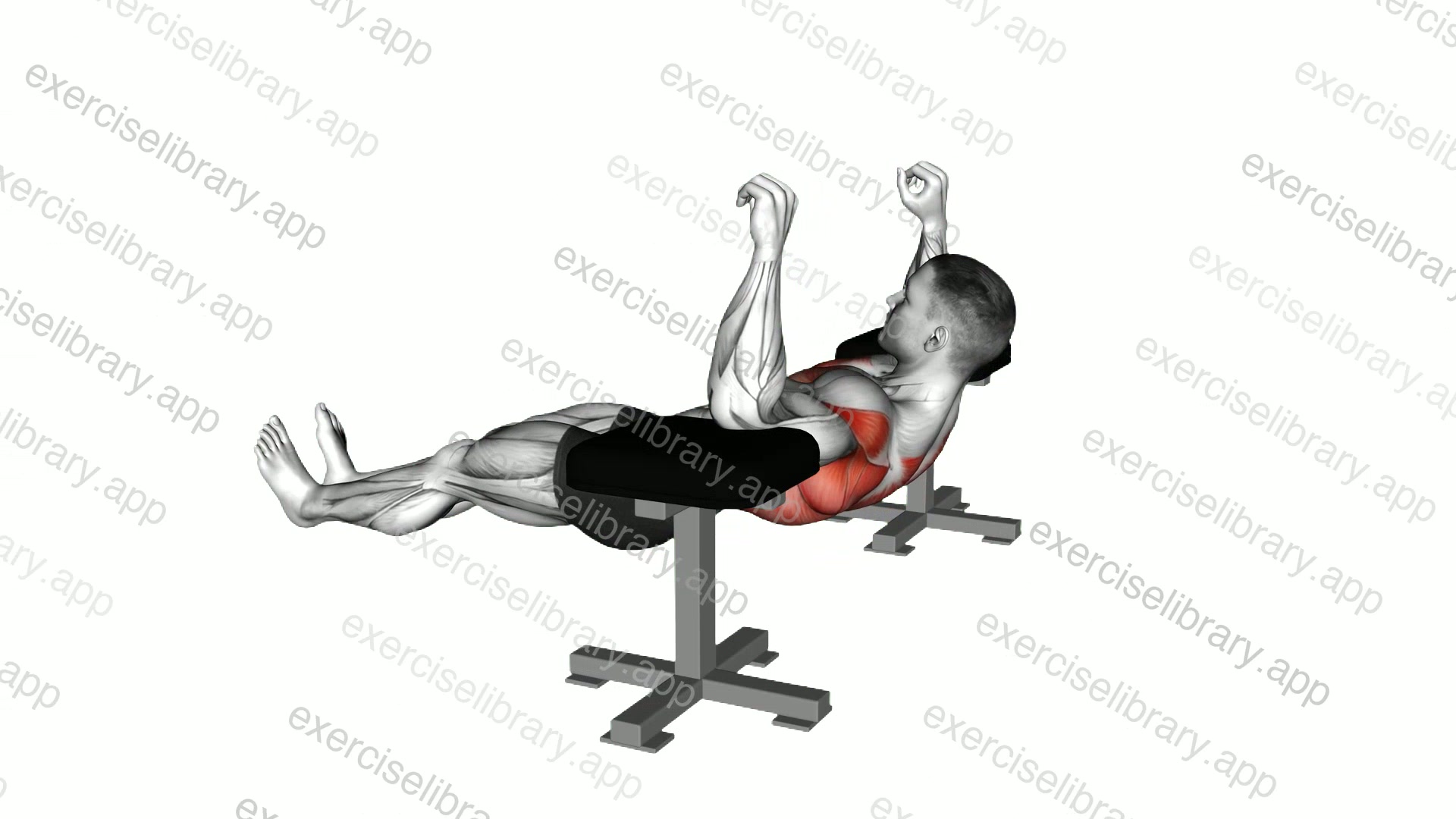 Elbow Lift - Reverse Push-Up demonstration