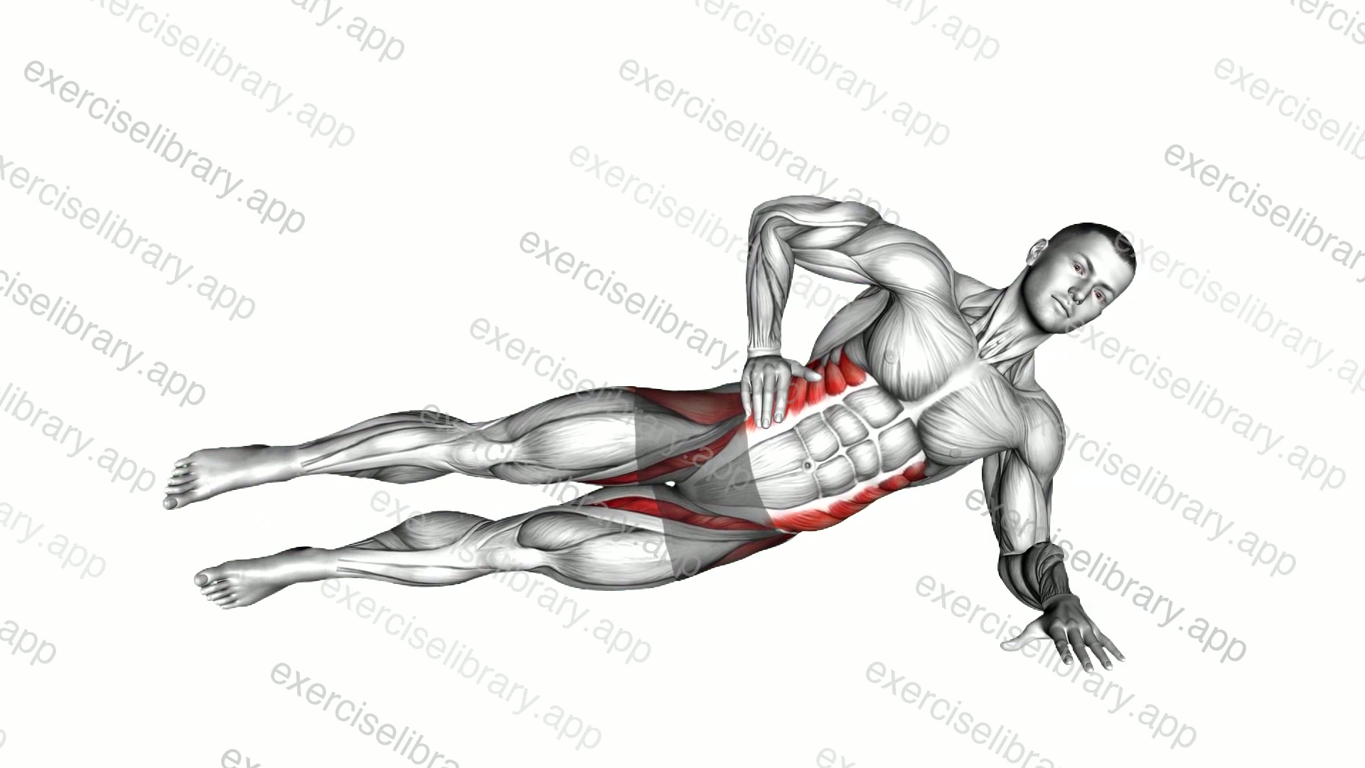 Side Bridge Hip Abduction demonstration