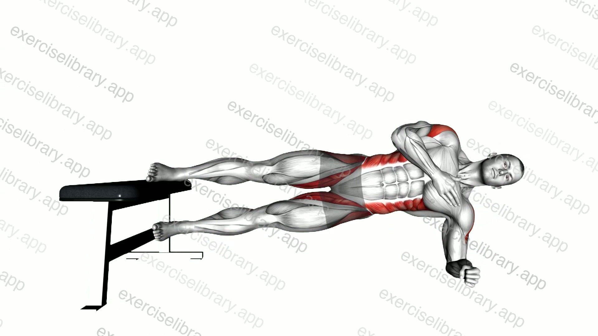 Side Plank Hip Adduction demonstration