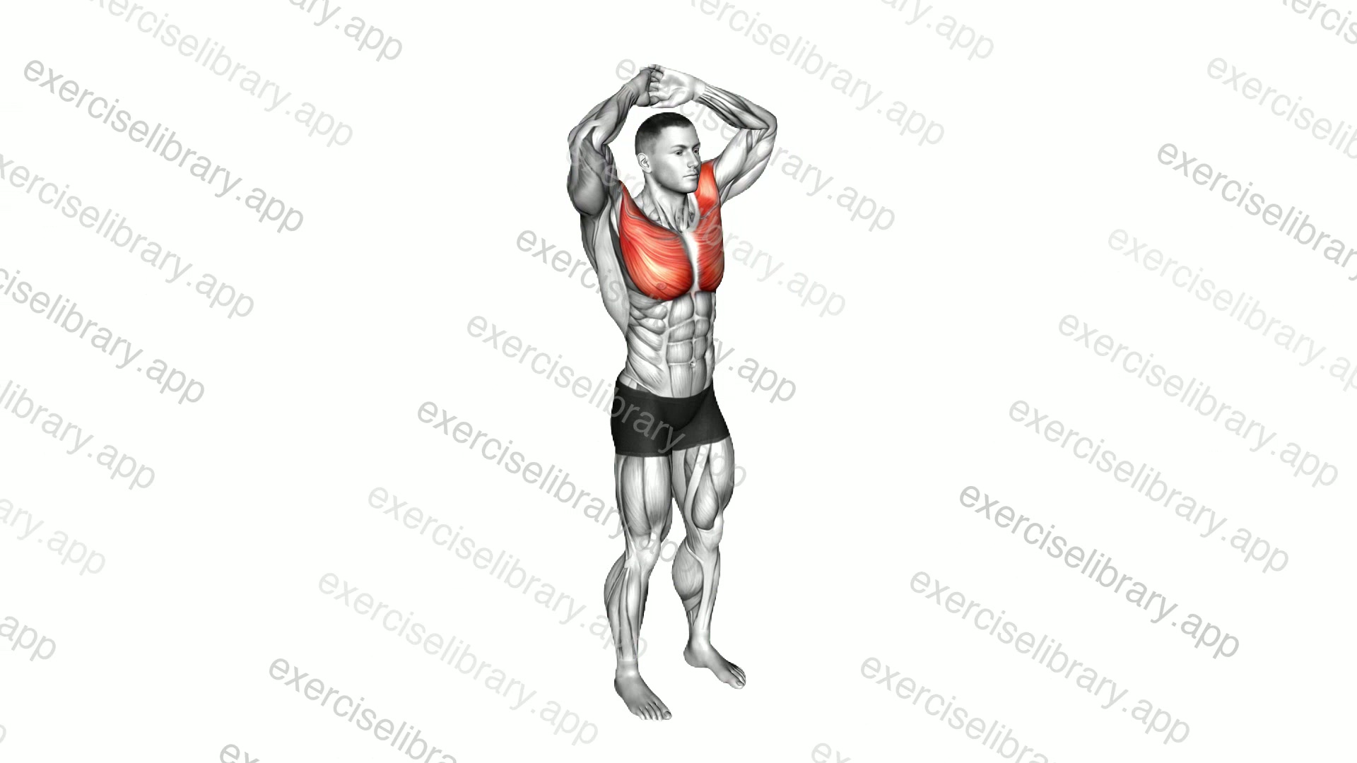 Above Head Chest Stretch demonstration