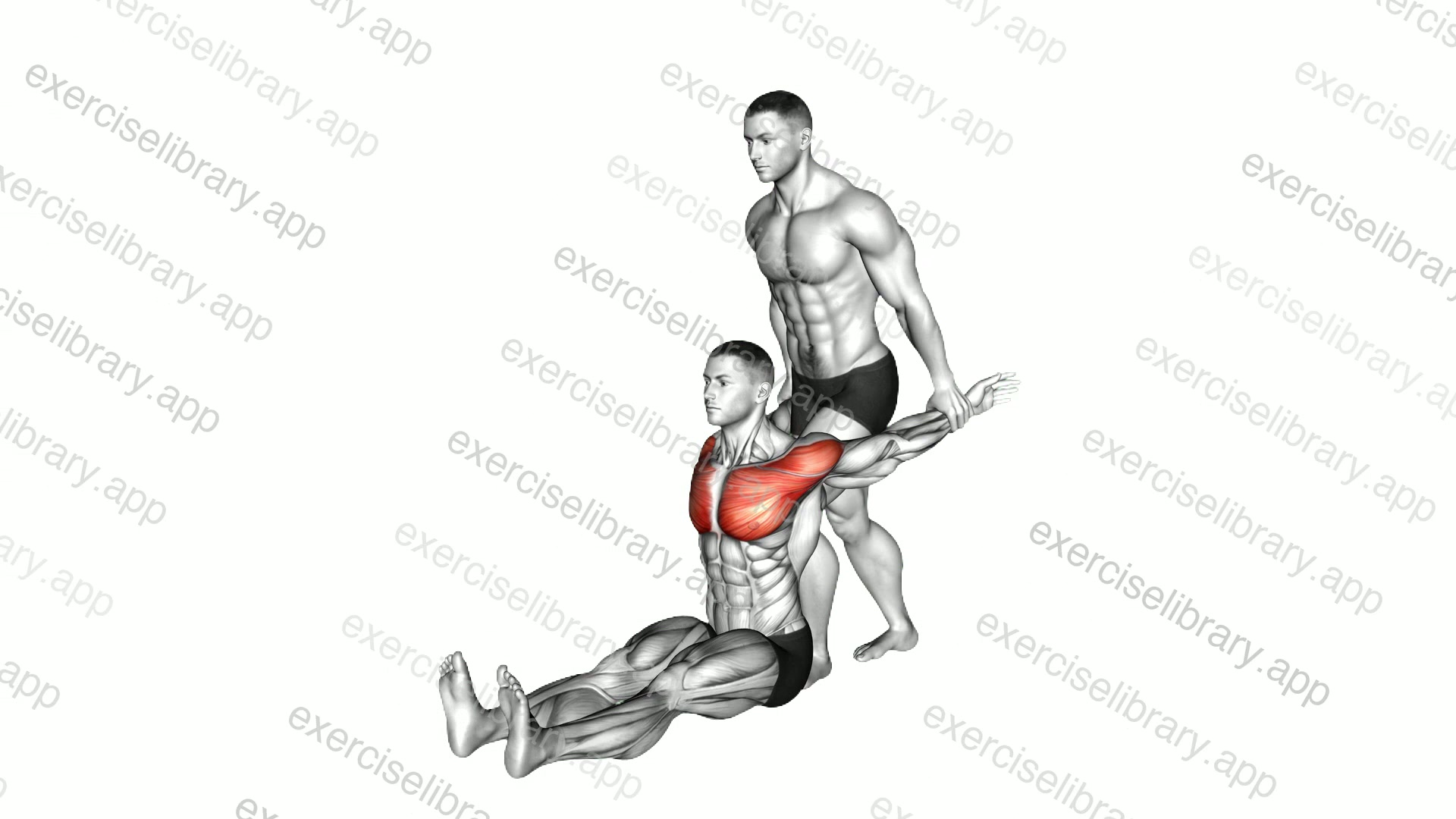 Assisted Seated Chest Stretch demonstration
