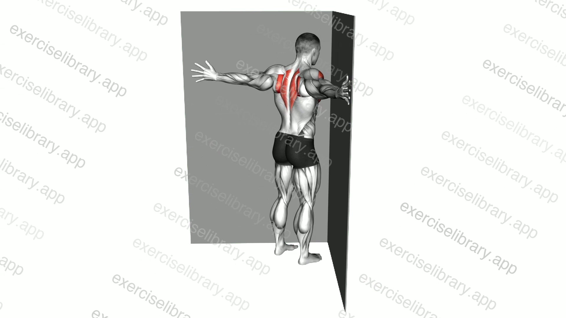 Coner Wall Chest Stretch demonstration