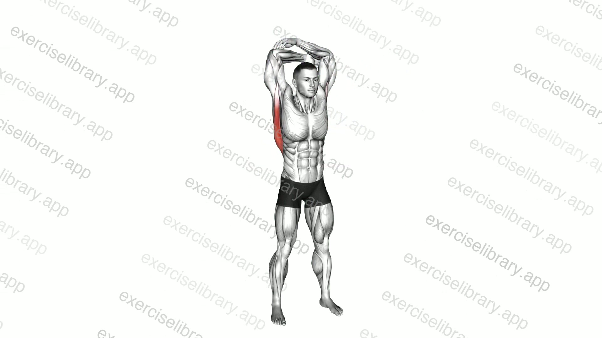 Standing reach-up back rotation stretch demonstration