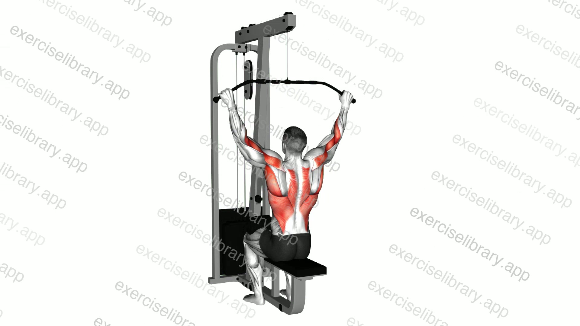 Cable Suspension Back Stretch demonstration