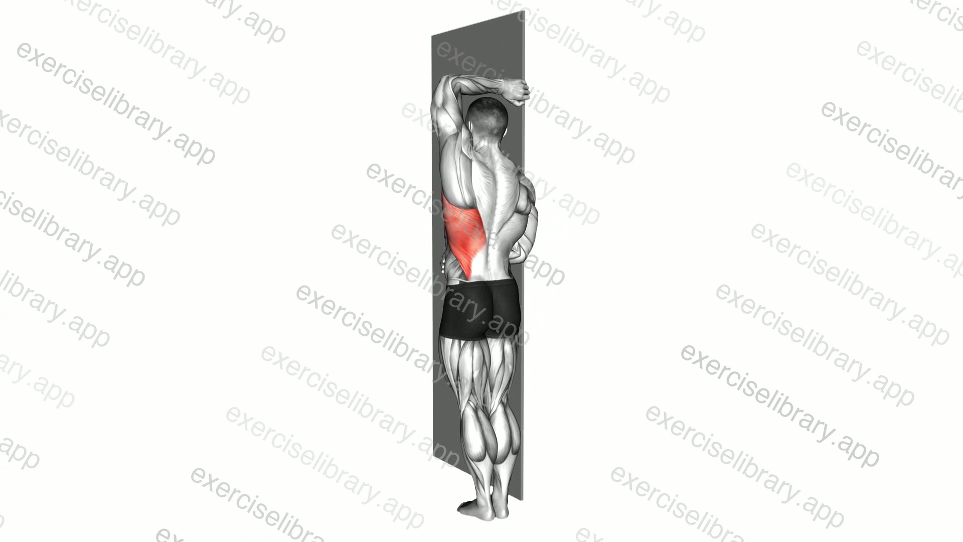 Side Lat Stretch demonstration