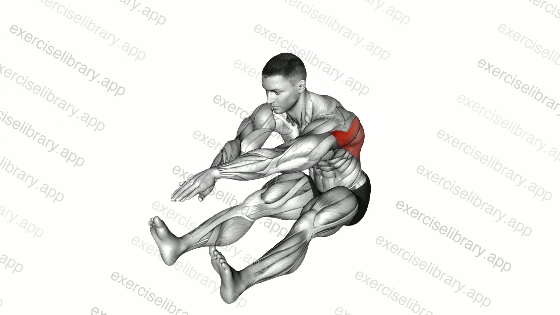 Sitting Bent Over Back Stretch demonstration