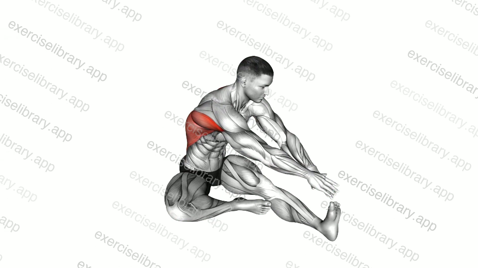 Sitting Side Reach Stretch demonstration