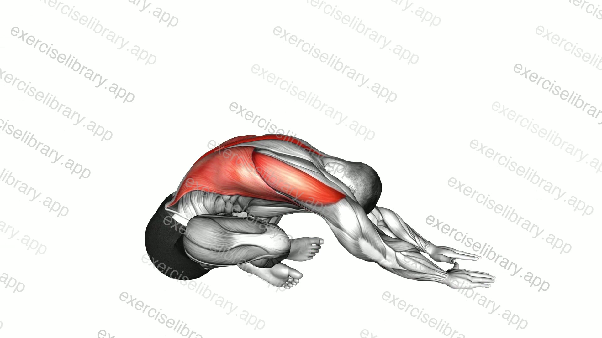 Sitting Crossed Legged Reach Forward Stretch demonstration