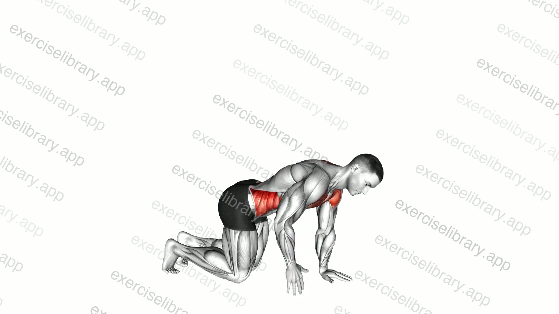 Kneeling Back Rotation Stretch demonstration