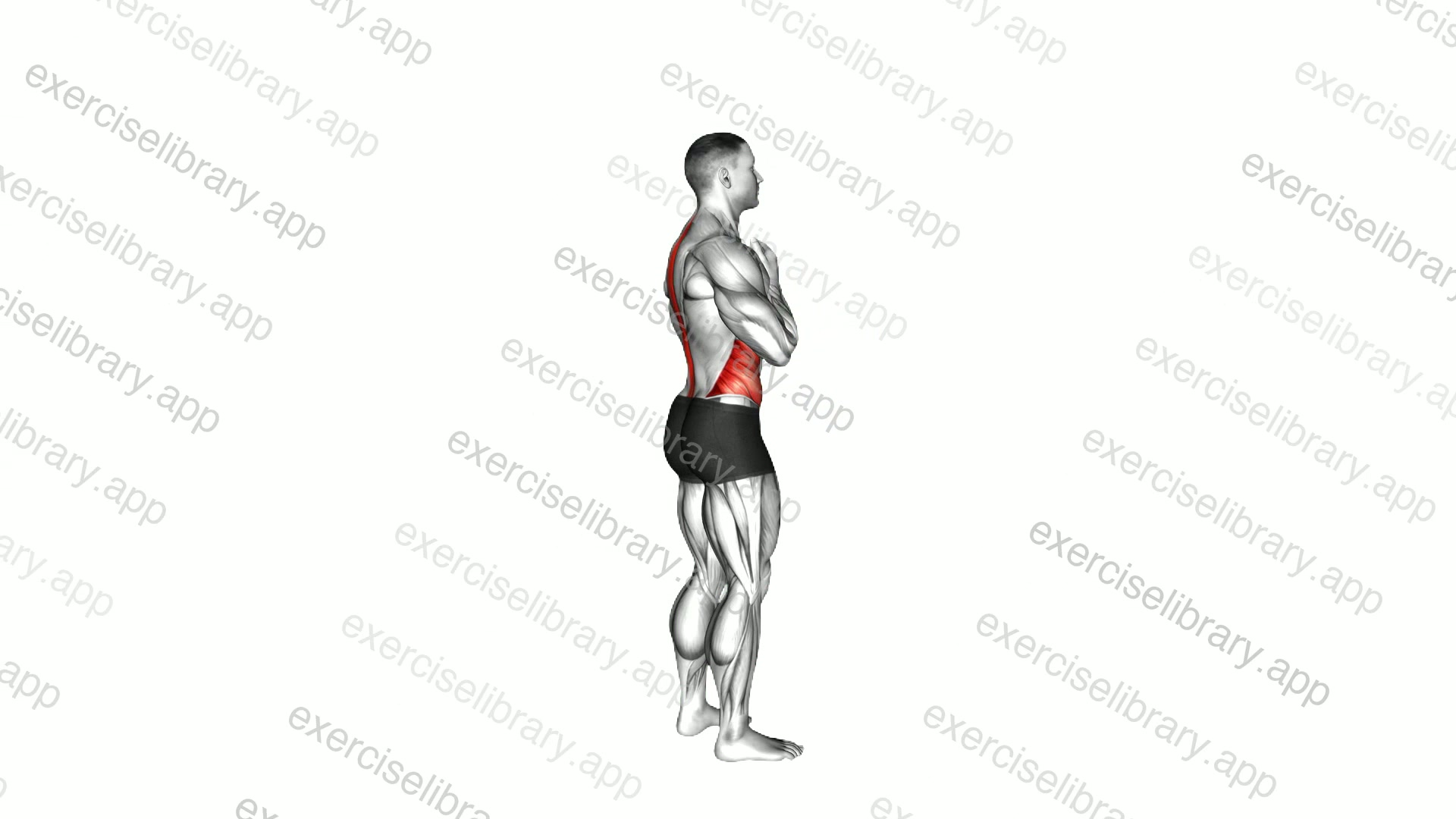 Standing Back Rotation Stretch demonstration