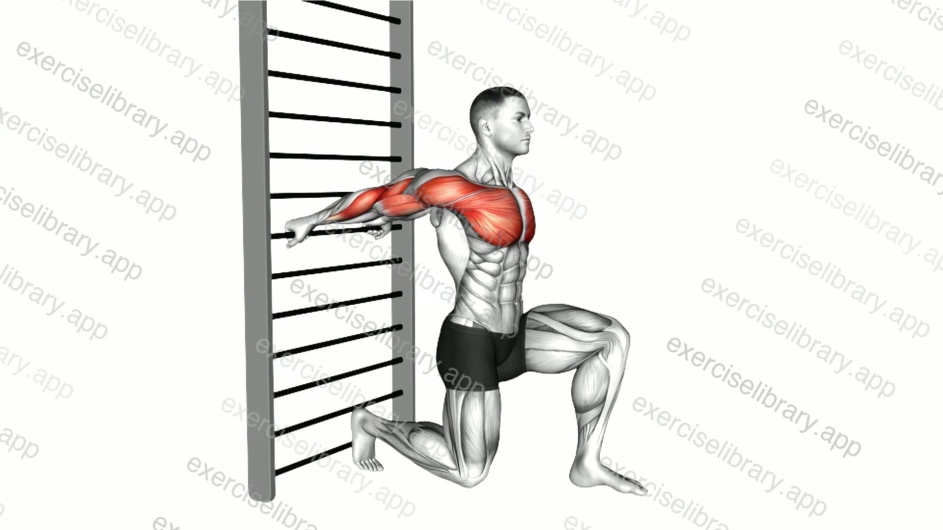 Arms Stretch On a Support demonstration