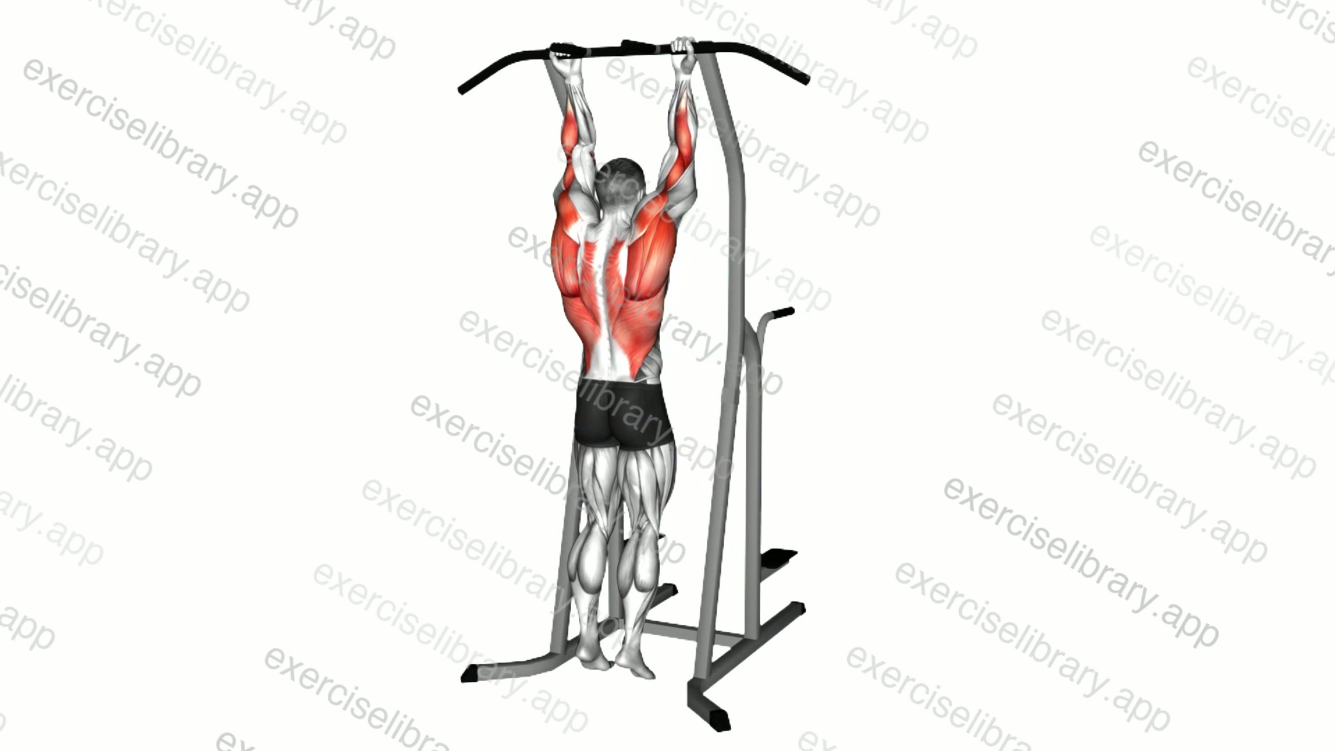 Suspender Bar Suspension Stretch demonstration