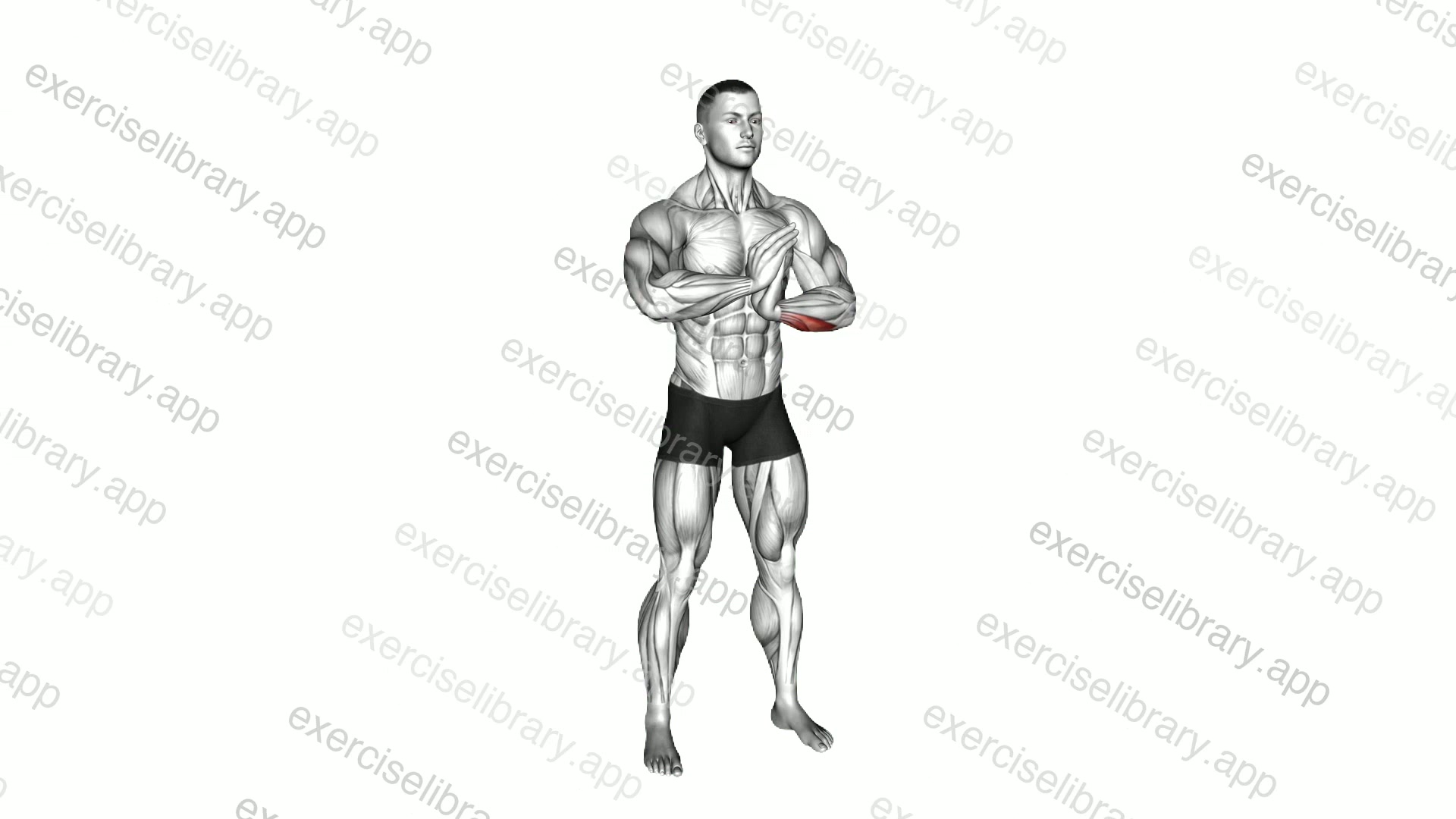Finger Flexor Stretch demonstration