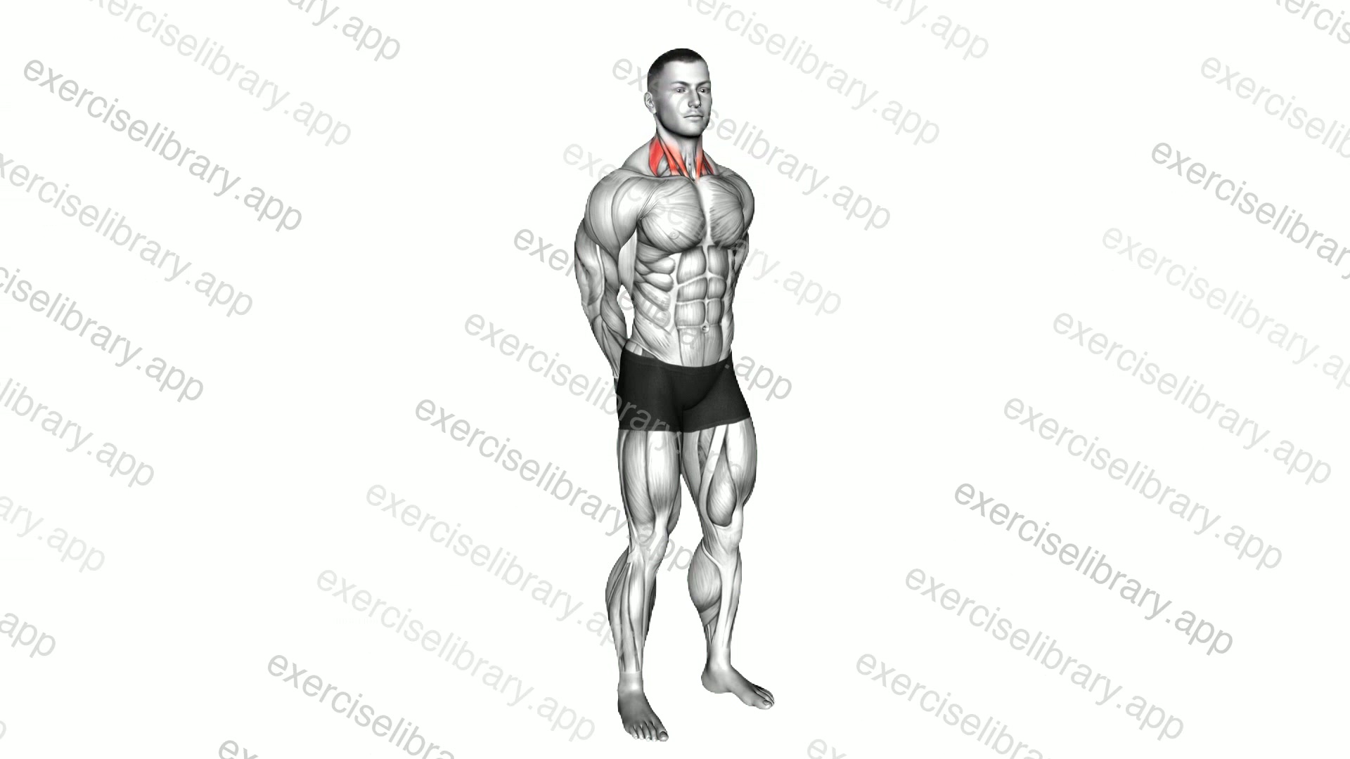 Rotating Neck Stretch demonstration