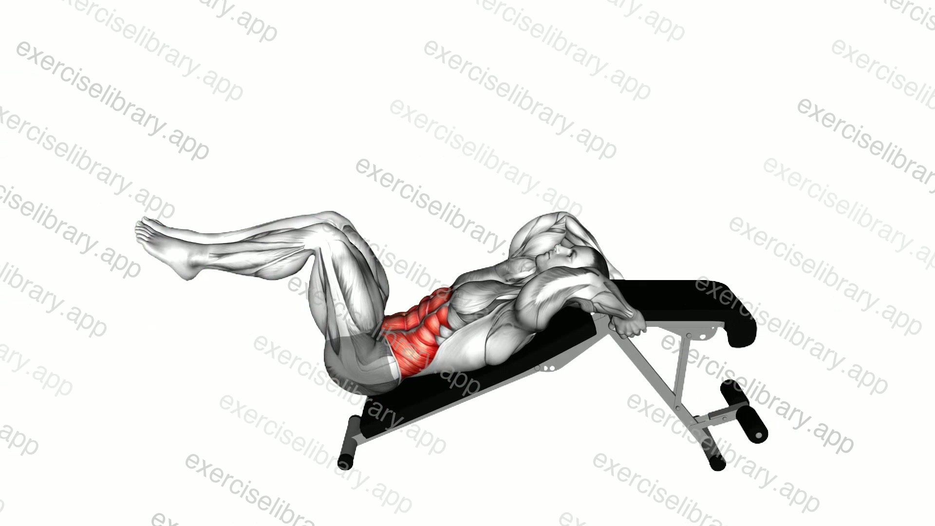Decline Bent Leg Reverse Crunch demonstration