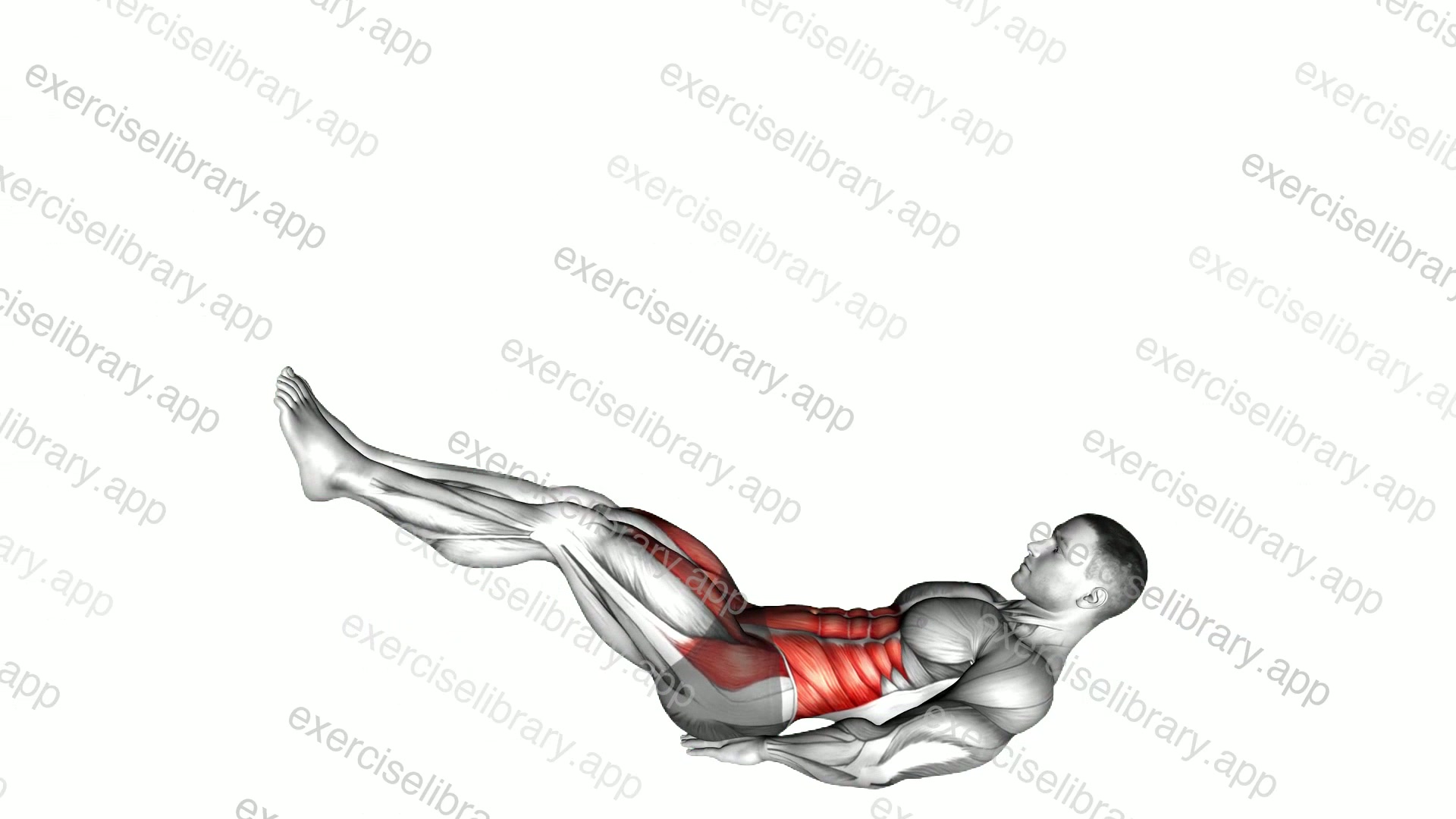 Leg Raise Hip Lift with Head-up demonstration