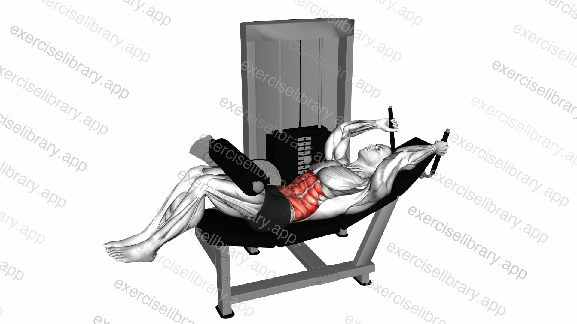 Lever Lying Leg Raise Bent Knee demonstration