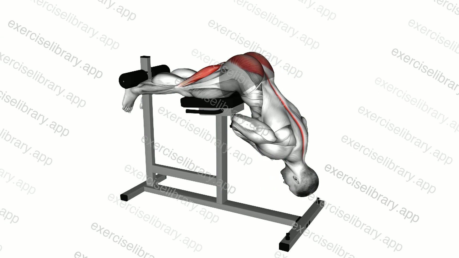 Hyperextension demonstration