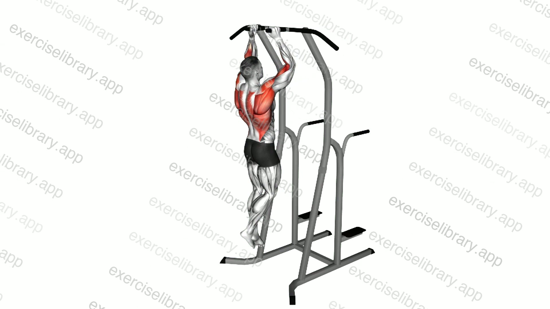 Hammer Grip Pull-up on Dip Cage demonstration