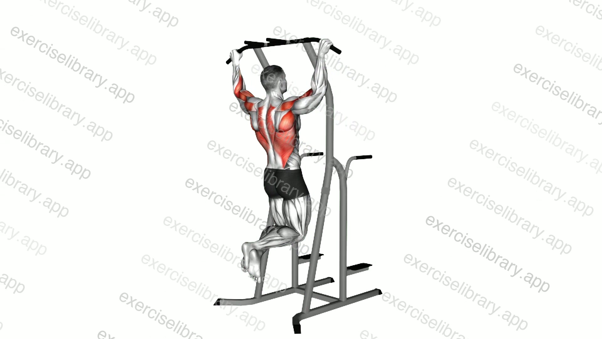 Wide Grip Pull-up On Dip Cage demonstration