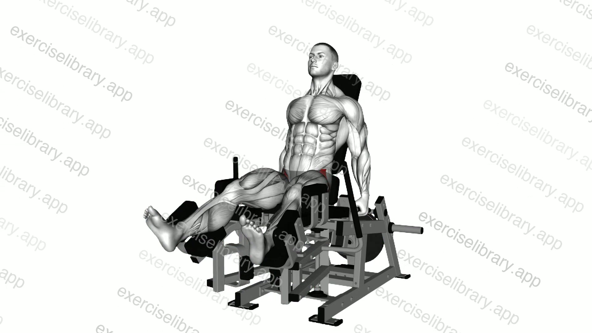 Lever Seated Hip Adduction demonstration