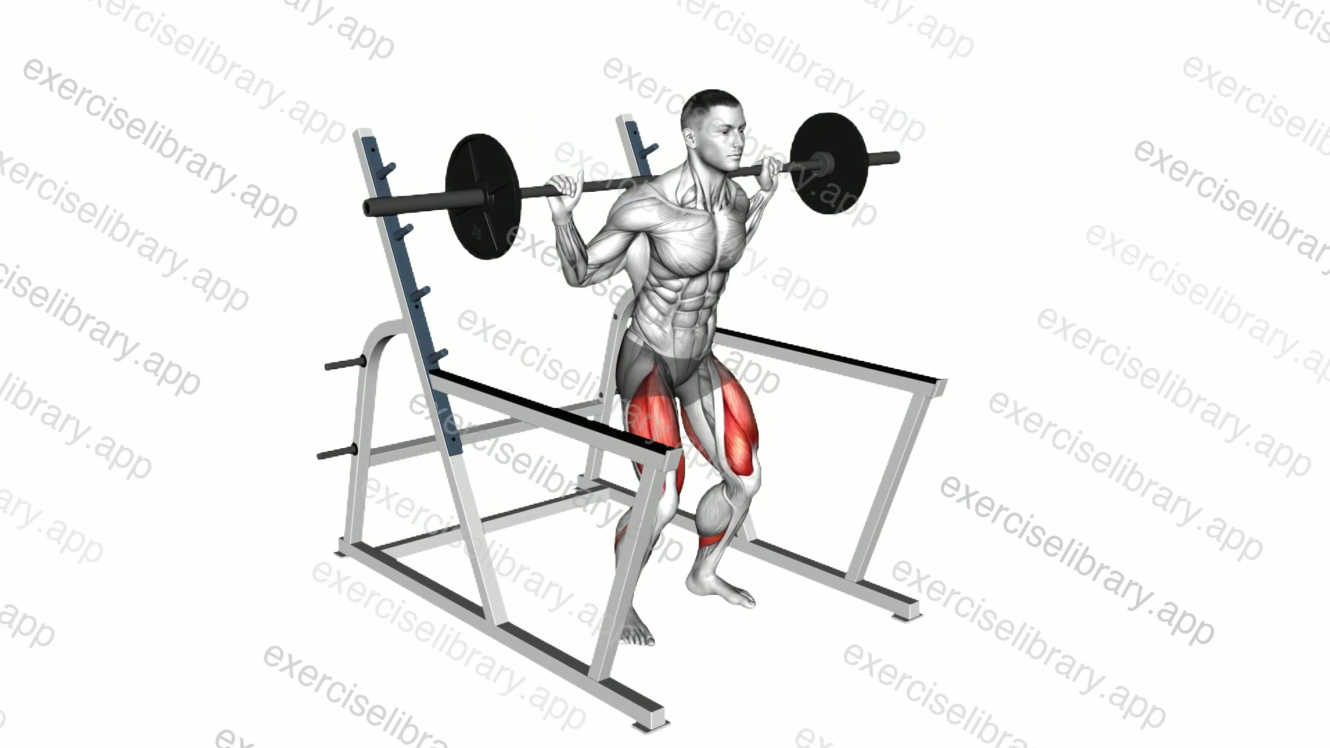 Barbell Low Bar Squat with Rack demonstration