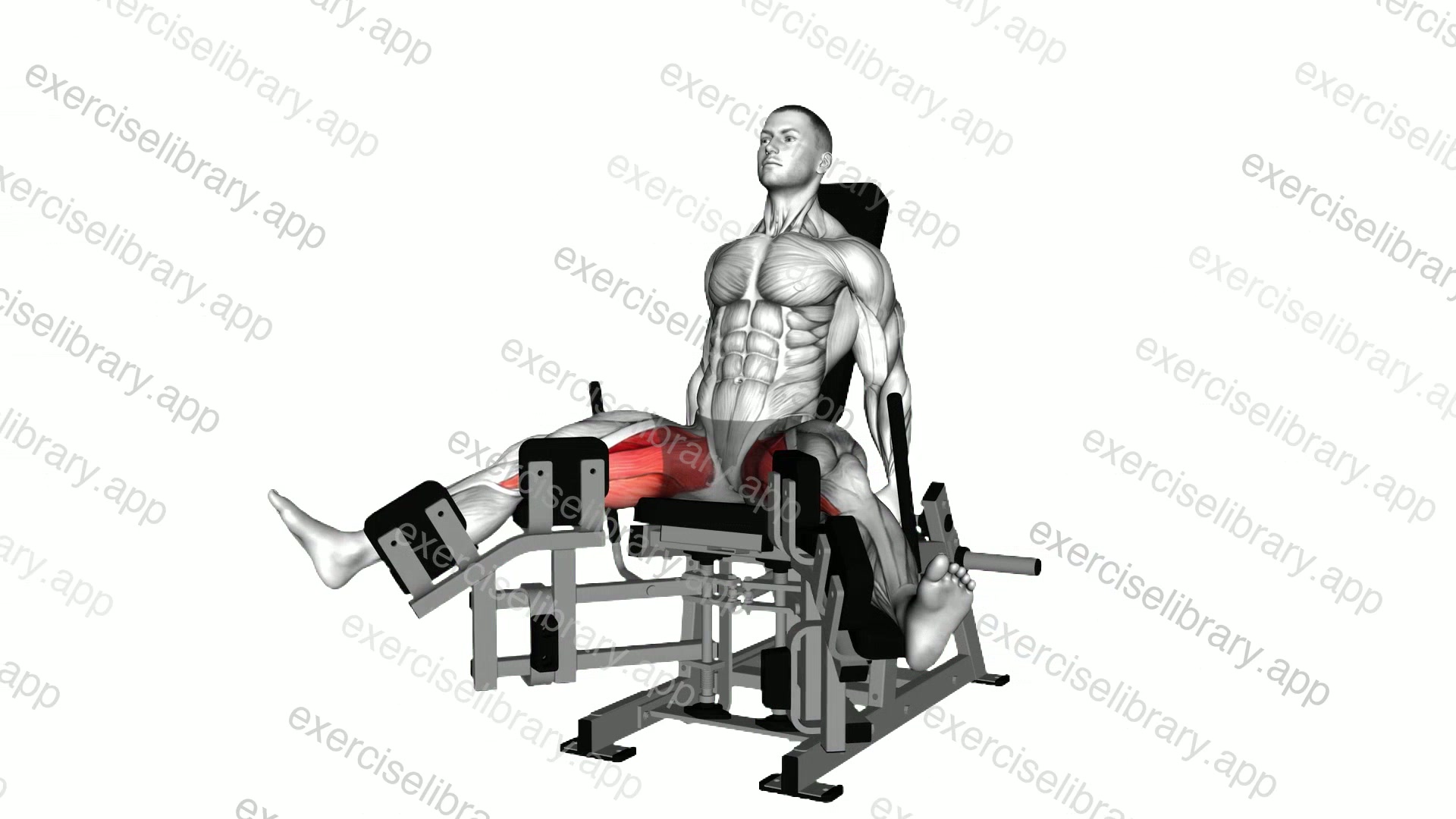 Lever Seated Hip Abduction demonstration