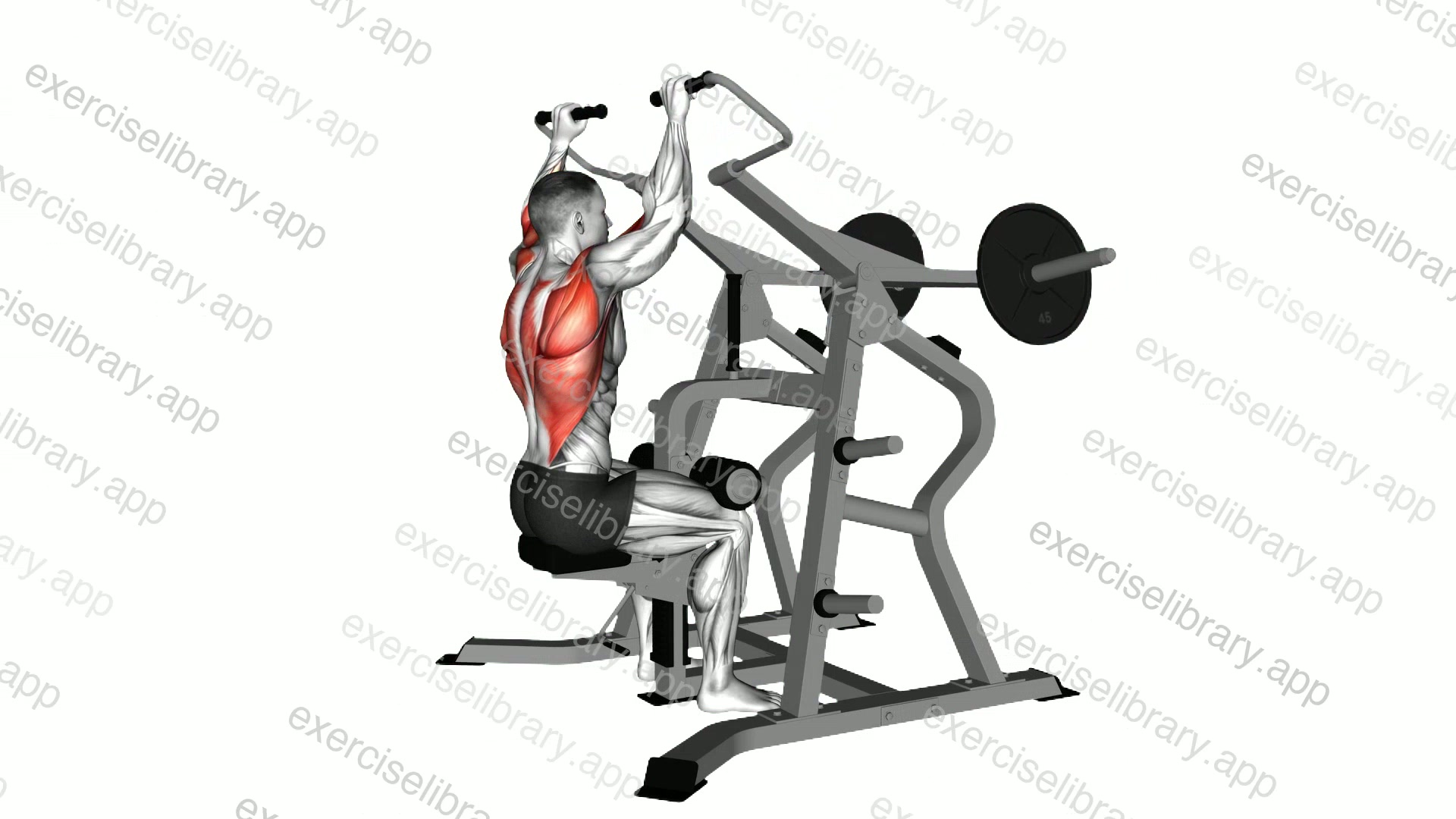Lever Lateral Pulldown demonstration