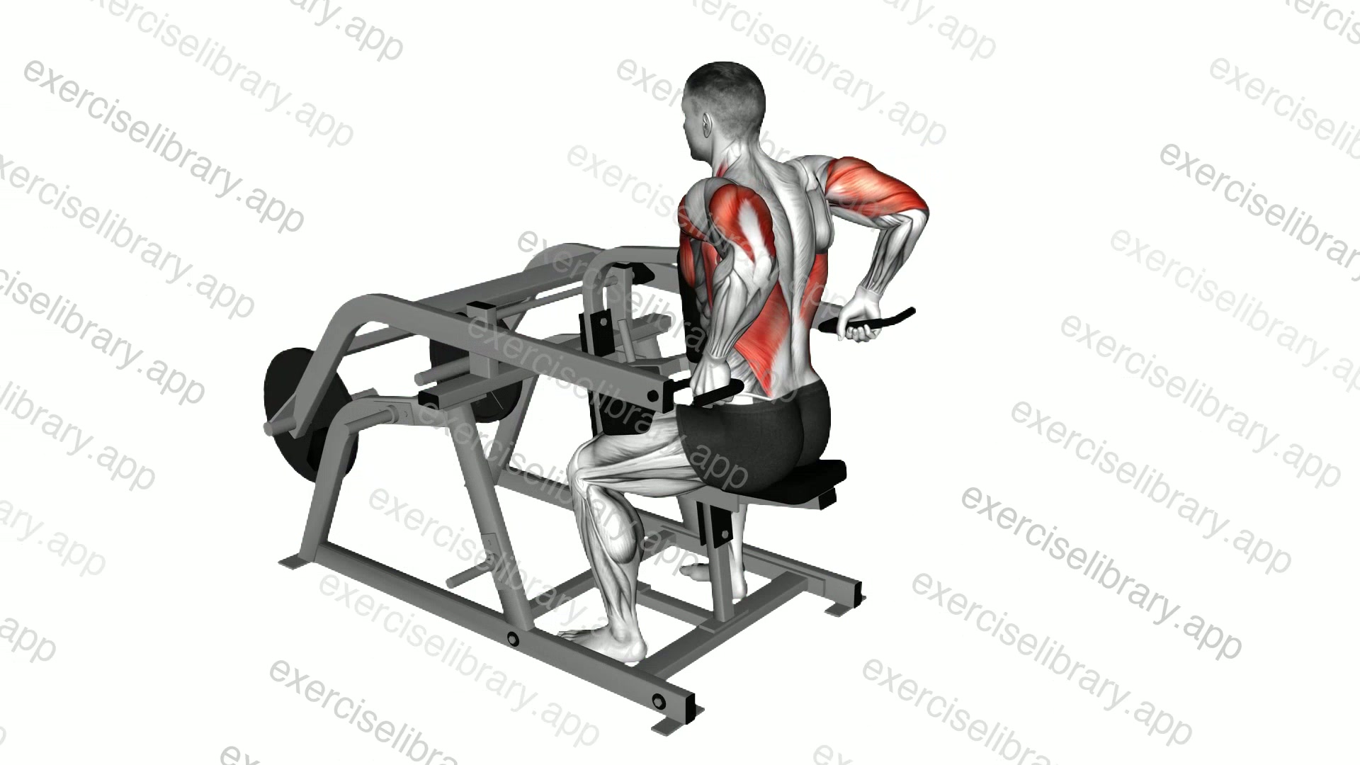 Lever Triceps Dip demonstration