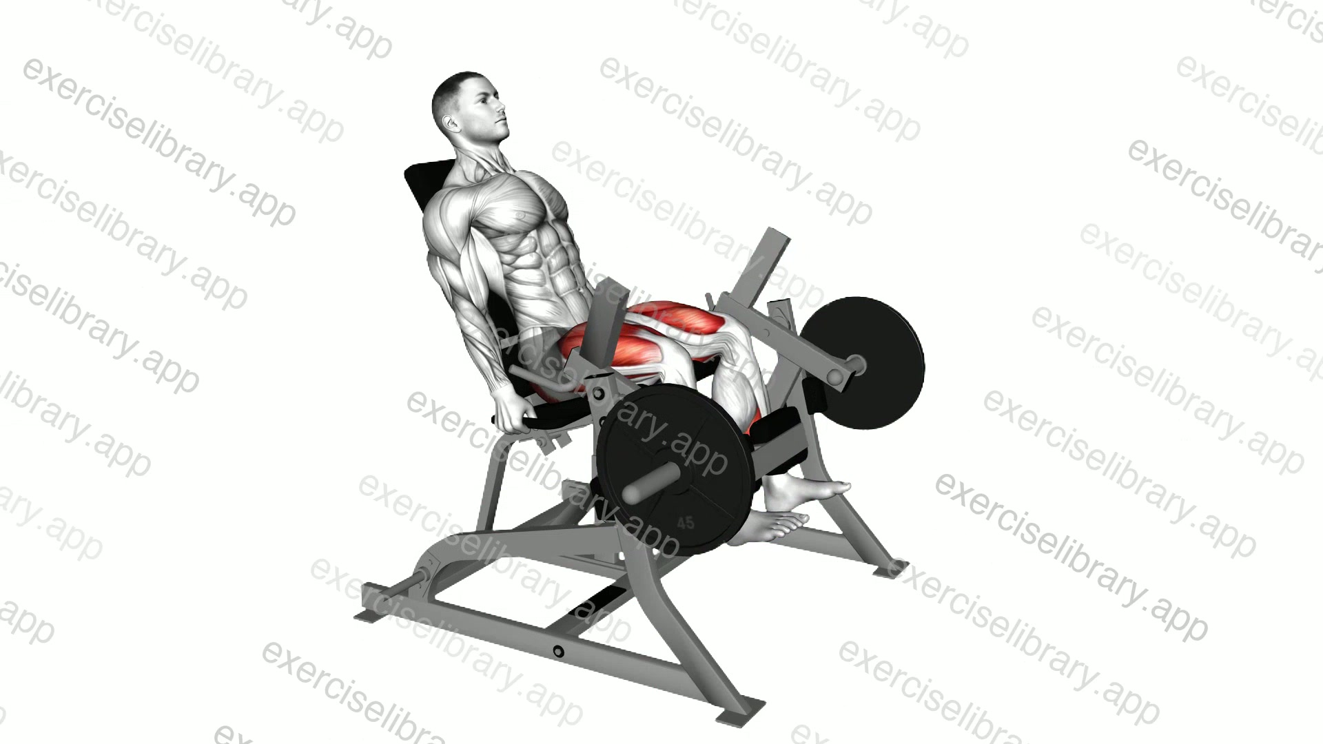 Lever Leg Extension demonstration