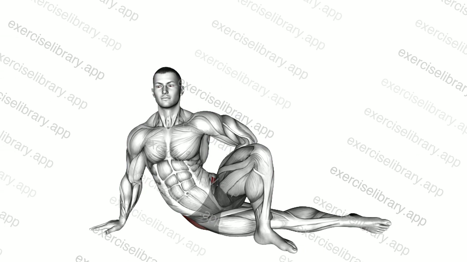 Lying Abductor Stretch demonstration