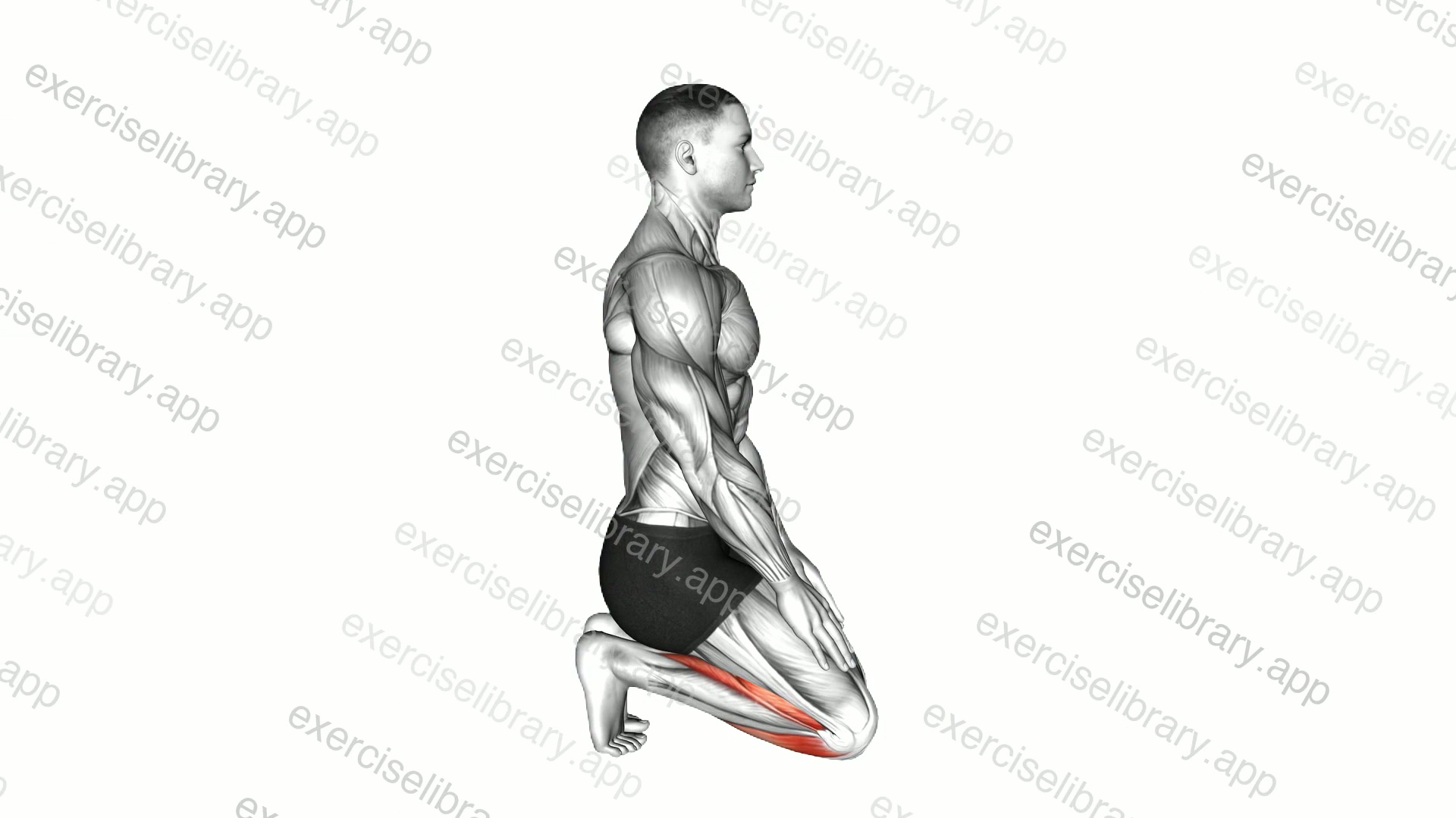 Toe Squat Stretch demonstration
