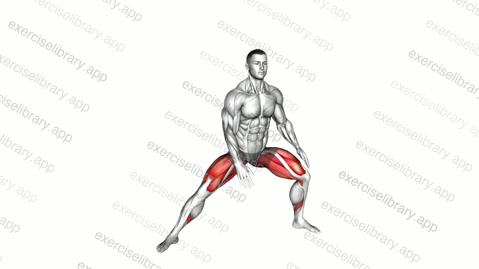 Side Lunge Adductor Stretch demonstration