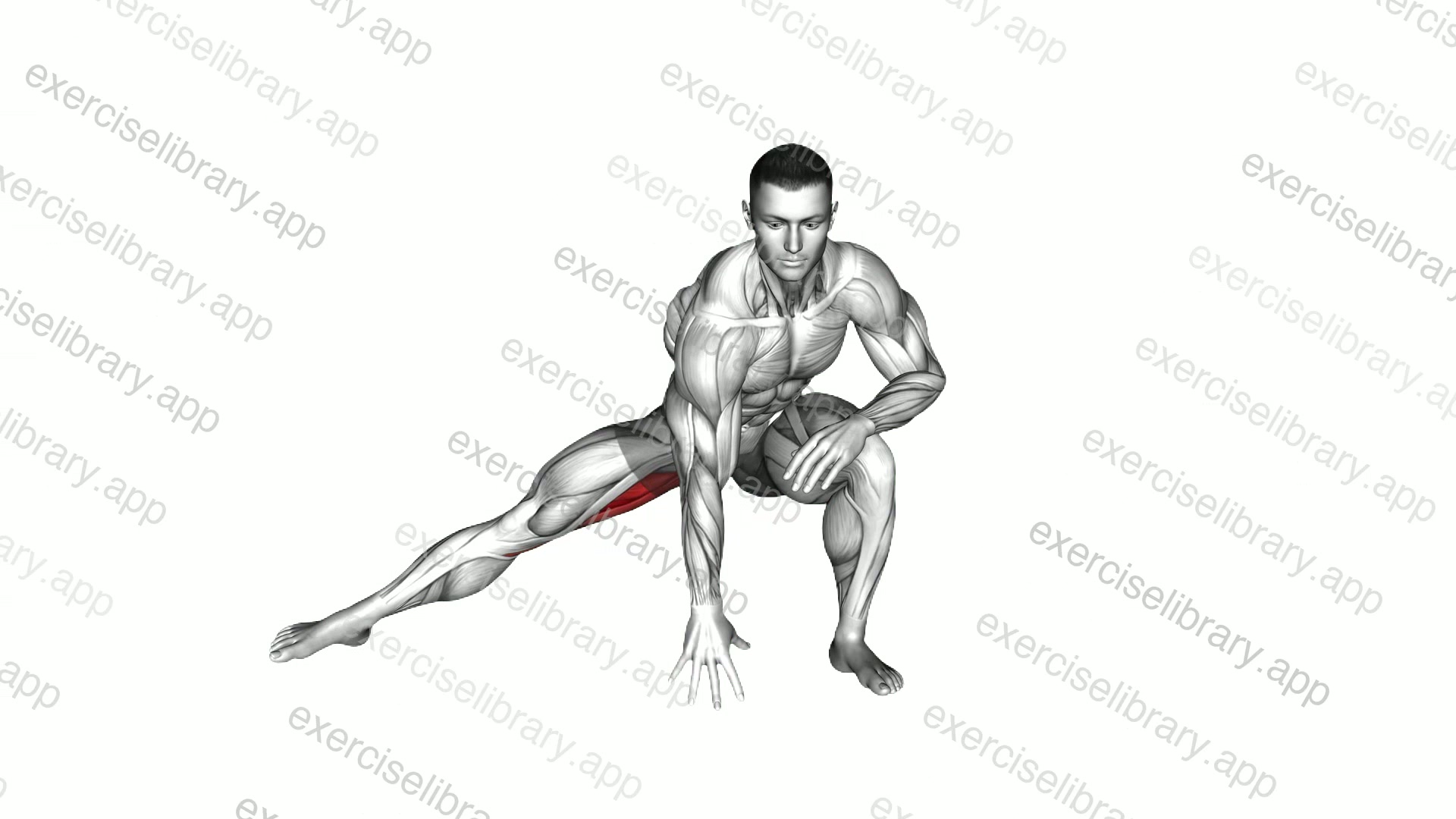 Standing Bent Knee Hip Adductor Stretch demonstration