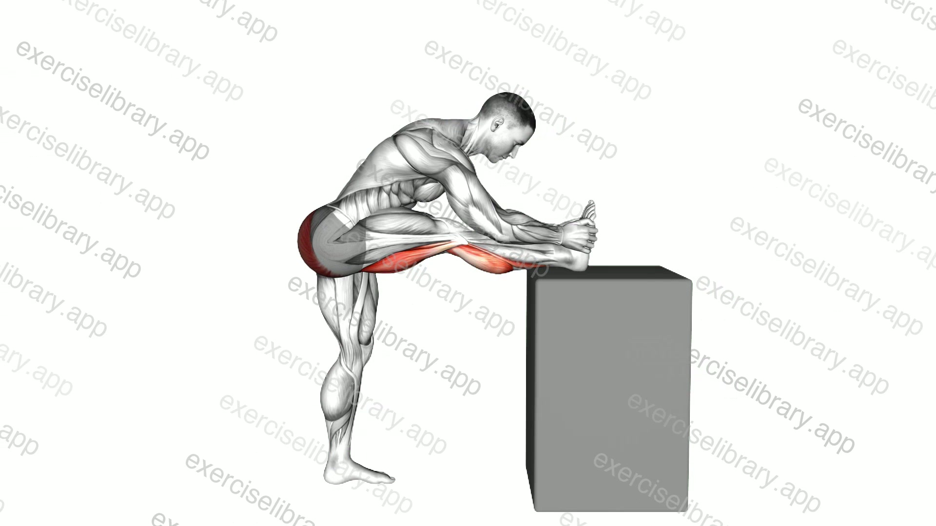 Raised Leg Knee Flexor Stretch demonstration