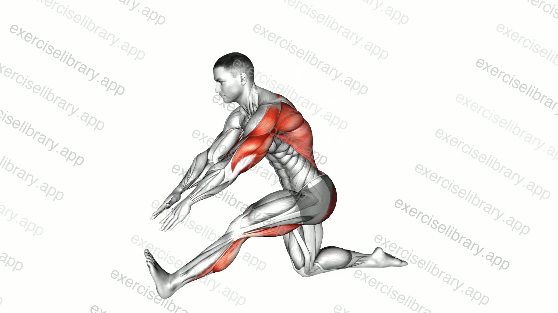 Kneeling Toe-up Hamstring Stretch demonstration