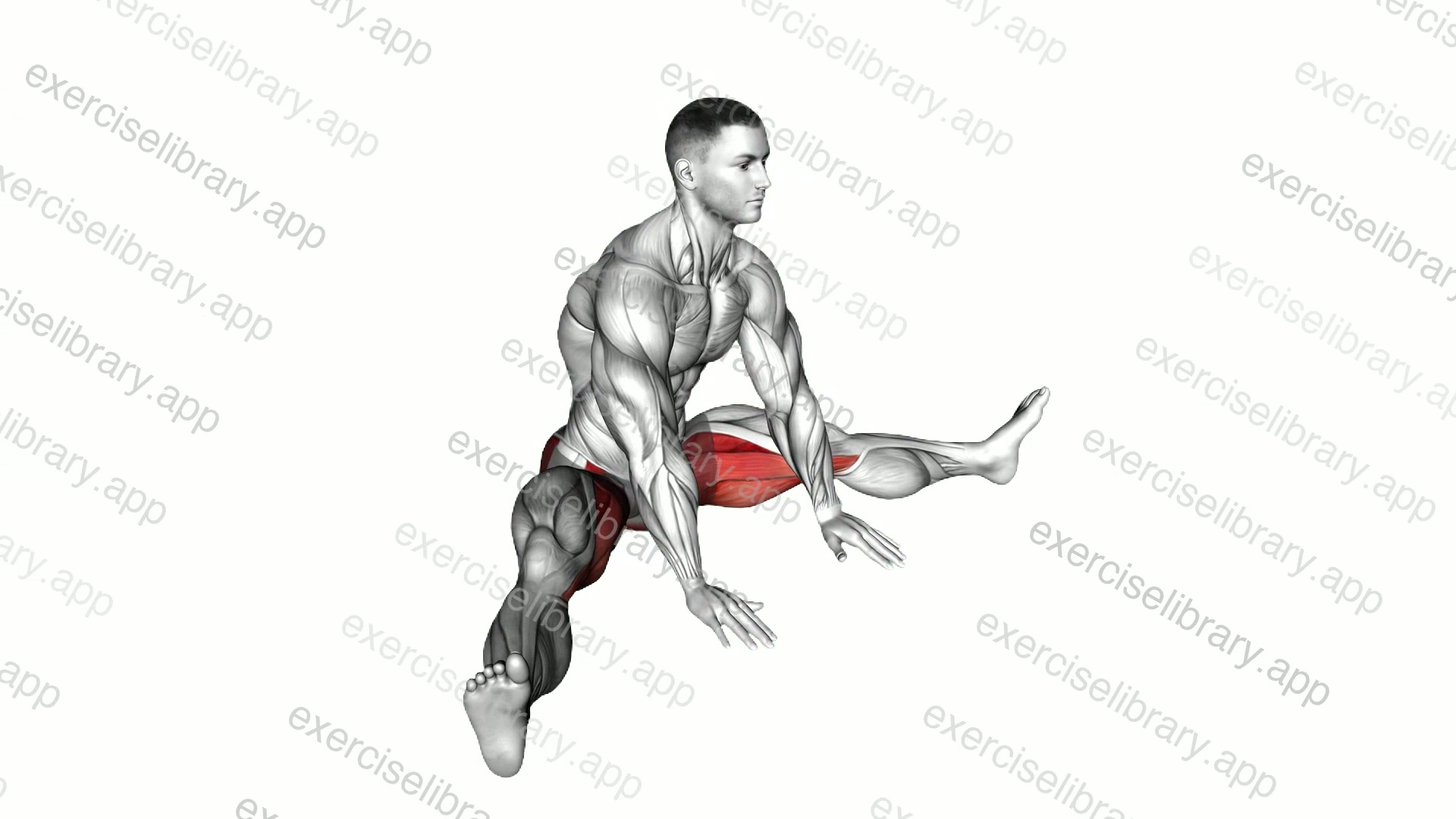 Seated Knee Flexor And Hip Adductor Stretch demonstration