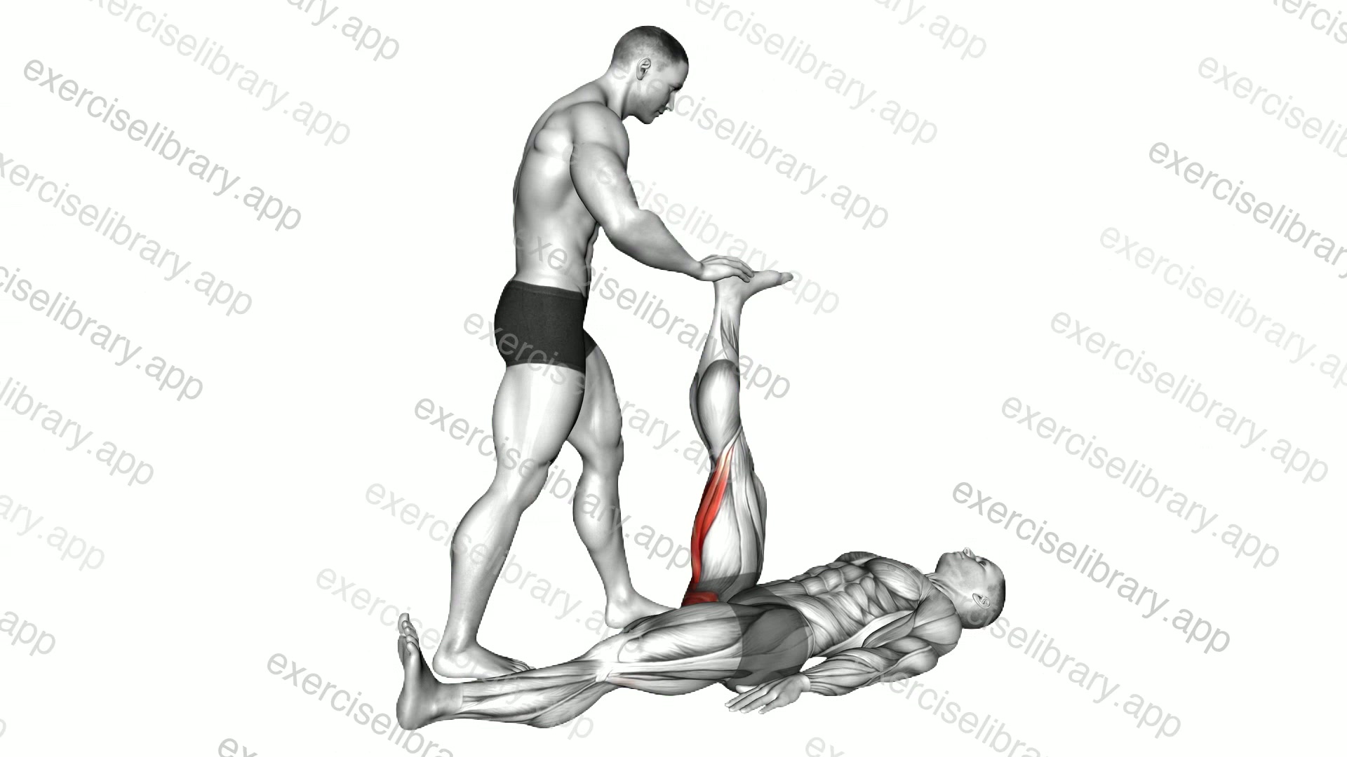 Assisted Lying Hamstring Stretch demonstration